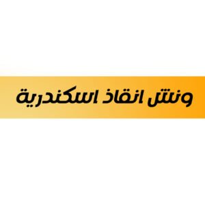 ونش انقاذ اسكندرية