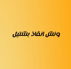 ونش انقاذ بشتيل 